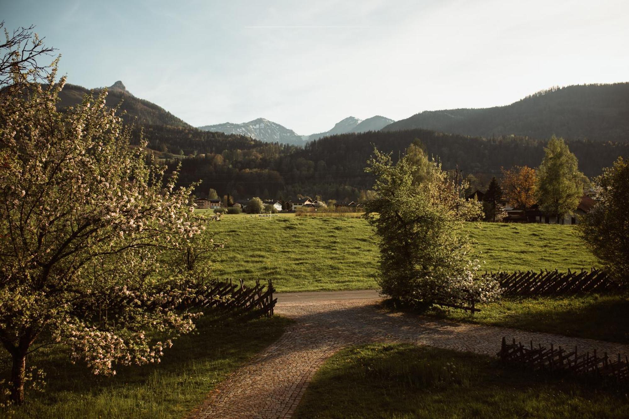 Primushaeusl Gaestehaus Strobl Chambre photo
